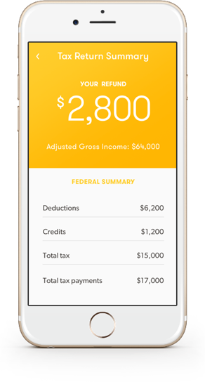 TaxChat summary screen